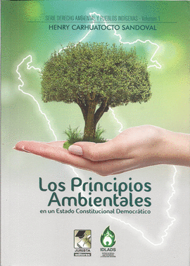 LOS PRINCIPIOS AMBIENTALES