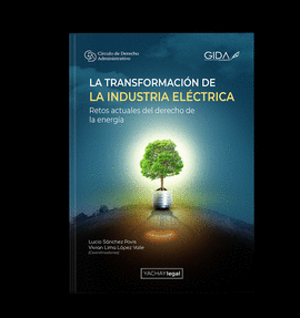 LA TRANSFORMACIN DE LA INDUSTRIA ELCTRICA
