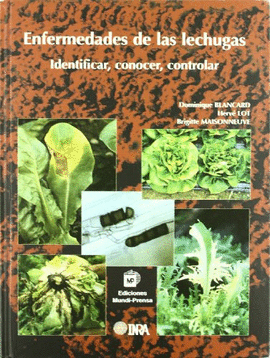 ENFERMEDADES DE LAS LECHUGAS: IDENTIFICAR, CONOCER, CONTROLAR