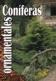 CONIFERAS ORNAMENTALES