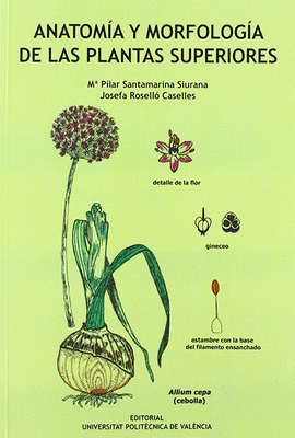 ANATOMA Y MORFOLOGA DE LAS PLANTAS SUPERIORES