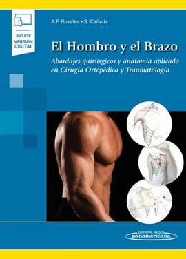 EL HOMBRO Y EL BRAZO
