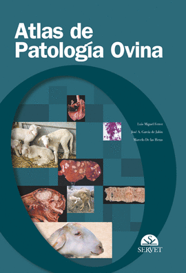 ATLAS DE PATOLOGA OVINA