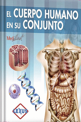 CUERPO HUMANO EN SU CONJUNTO