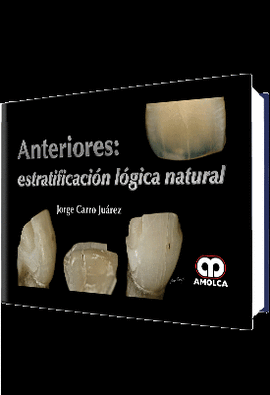 ANTERIORES ESTRATIFICACION LOGICA NATURAL