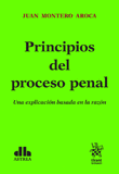 PRINCIPIOS DEL PROCESO PENAL