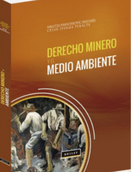 DERECHO MINERO Y EL MEDIO AMBIENTE