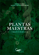 PLANTAS MAESTRAS
