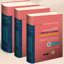 TUTELA JURISDICCIONAL EFECTIVA Y EL PROCESO DE AMPARO CONTRA RESOLUCIONES 3 TOMOS