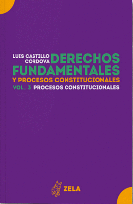 DERECHOS FUNDAMENTALES Y PROCESOS CONSTITUCIONALES