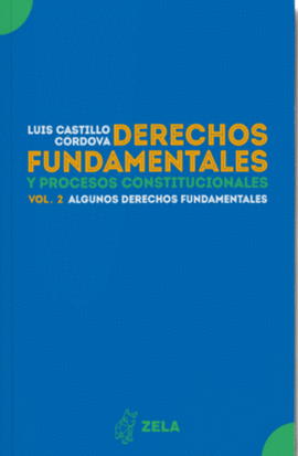 DERECHOS FUNDAMENTALES Y PROCESOS CONSTITUCIONALES