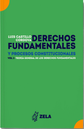 DERECHOS FUNDAMENTALES Y PROCESOS CONSTITUCIONALES