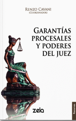 GARANTIAS PROCESALES Y PODERES DEL JUEZ