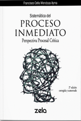 SISTEMATICA DEL PROCESO INMEDIATO