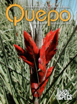 QUEPO  - N 34