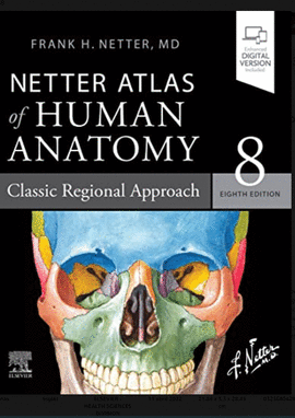 NETTER ATLAS OF HUMAN ANATOMY