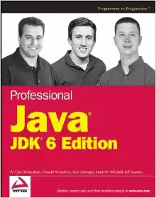 PROFESSIONAL JAVA JDK 6 EDITION