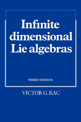 INFINITE DIMENSIONAL LIE ALGEBRAS