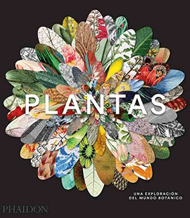 PLANTAS