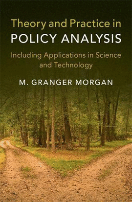 THEORY AND PRACTICE IN POLICY ANALYSIS