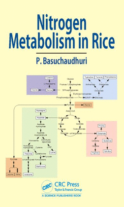 NITROGEN METABOLISM IN RICE