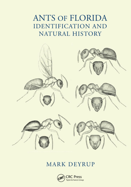 ANTS OF FLORIDA
