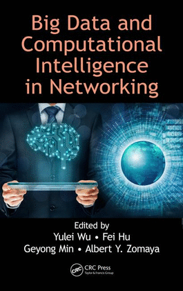 BIG DATA AND COMPUTATIONAL INTELLIGENCE IN NETWORKING