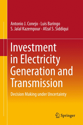 INVESTMENT IN ELECTRICITY GENERATION AND TRANSMISSION