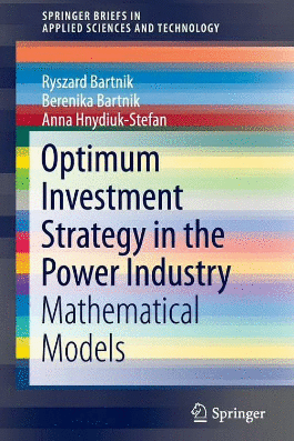 OPTIMUM INVESTMENT STRATEGY IN THE POWER INDUSTRY
