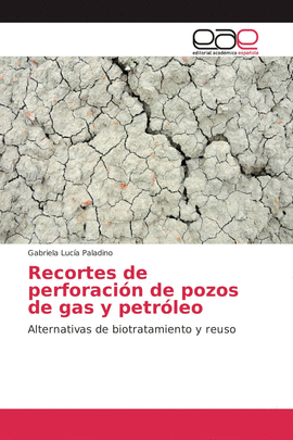 RECORTES DE PERFORACION DE POZOS DE GAS Y PETR�LEO
