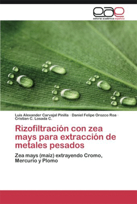 RIZOFILTRACION CON ZEA MAYS PARA EXTRACCION DE METALES PESADOS ZEA MAYS (MAIZ) EXTRAYENDO CROMO MERC