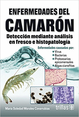 ENFERMEDADES DEL CAMARON
