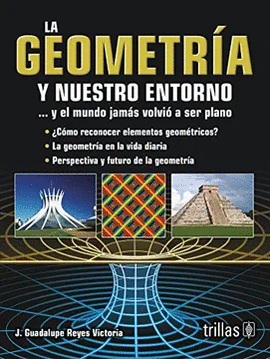 LA GEOMETRIA Y NUESTRO ENTORNO