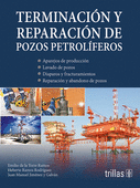 TERMINACION Y REPARACION DE POZOS PETROLIFEROS