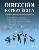 DIRECCION ESTRATEGICA