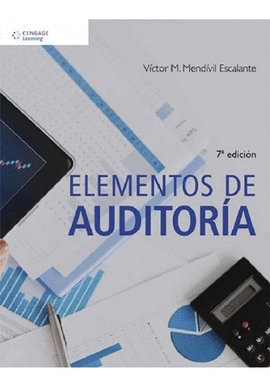 ELEMENTOS DE AUDITORA