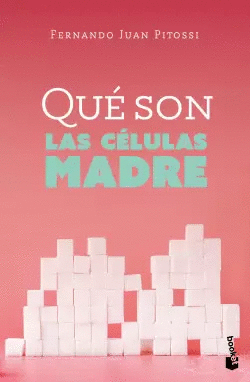 QUE SON LAS CELULAS MADRE