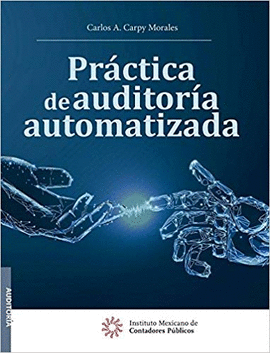 PR�CTICA DE AUDITOR�A AUTOMATIZADA