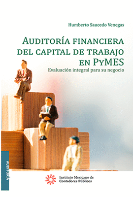 AUDITORA FINANCIERA DEL CAPITAL DEL TRABAJO EN PYMES