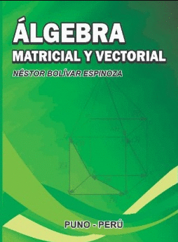 �LGEBRA MATRICIAL Y VECTORIAL