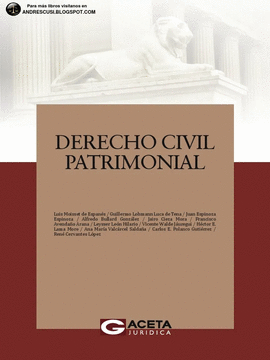 DERECHO CIVIL PATRIMONIAL