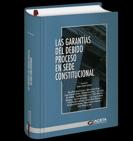 LAS GARANTAS DEL DEBIDO PROCESO EN SEDE CONSTITUCIONAL