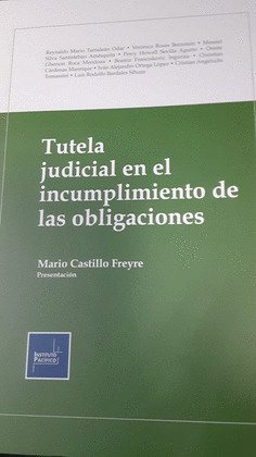 TUTELA JUDICIAL EN EL INCUMPLIMIENTO DE LAS OBLIGACIONES