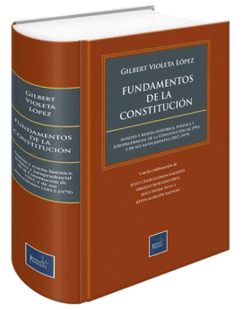 FUNDAMENTOS DE LA CONSTITUCION