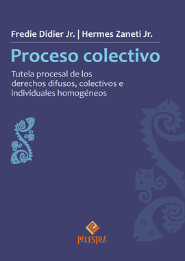 PROCESO COLECTIVO. TUTELA PROCESAL DE LOS DERECHOS DIFUSOS, COLECTIVOS E INDIVIDUALES HOMOG�NEOS