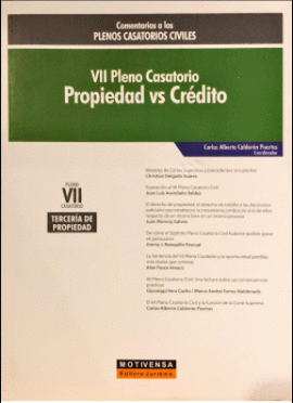 VII PLENO CASATORIO