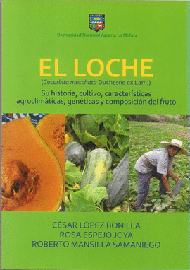 EL LOCHE (CUCURBITA MOSCHATA DUCHESNE EX LAM)