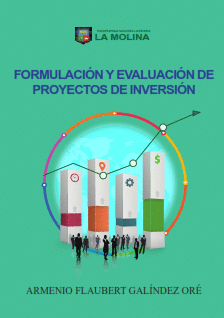 FORMULACION Y EVALUACION DE PROYECTOS DE INVERSION