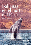 BALLENAS EN EL NORTE DEL PER