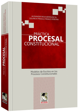 PRCTICA PROCESAL CONSTITUCIONAL